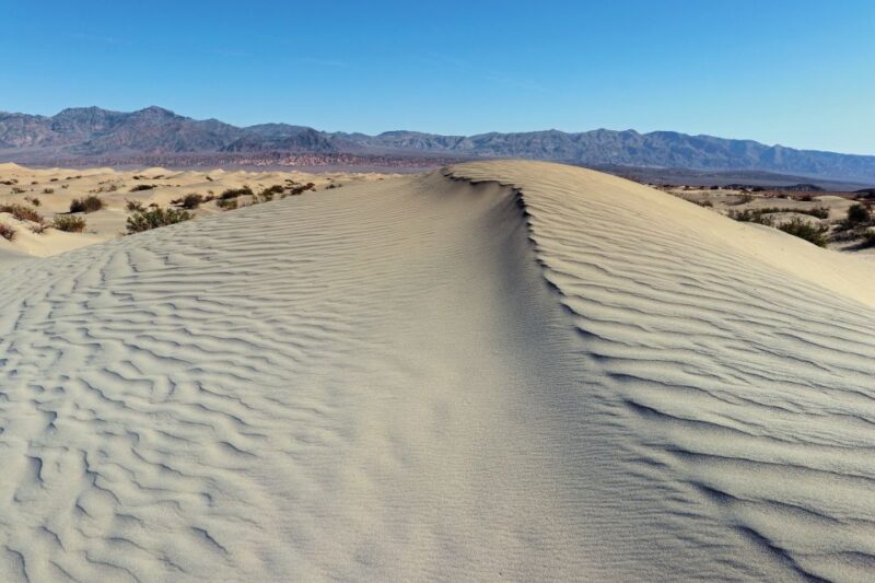 Taghazout: Sand Dunes Experience Guided Tour With Lunch - Itinerary Highlights