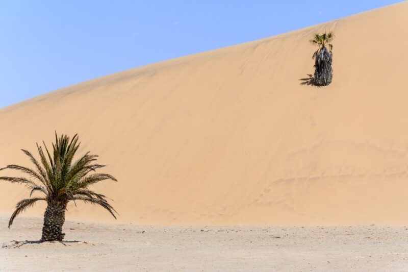 Taghazout: Sand Dunes Experience Guided Tour With Lunch - Lunch With Local Family