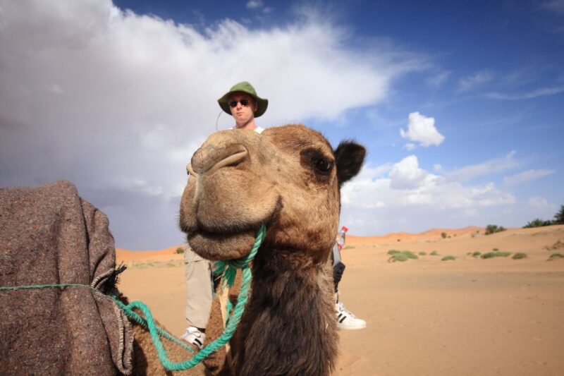 Taghazout Sunset Camel Ride - Price and Duration