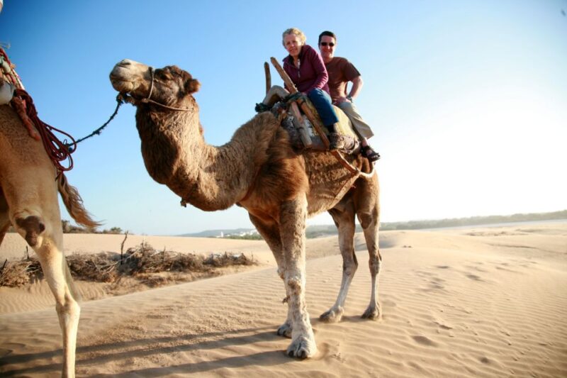 Taghazout Sunset Camel Ride - Pickup and Transportation