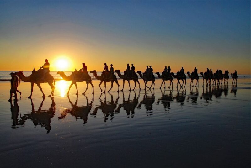 Taghazout Sunset Camel Ride - Live Tour Guide Options