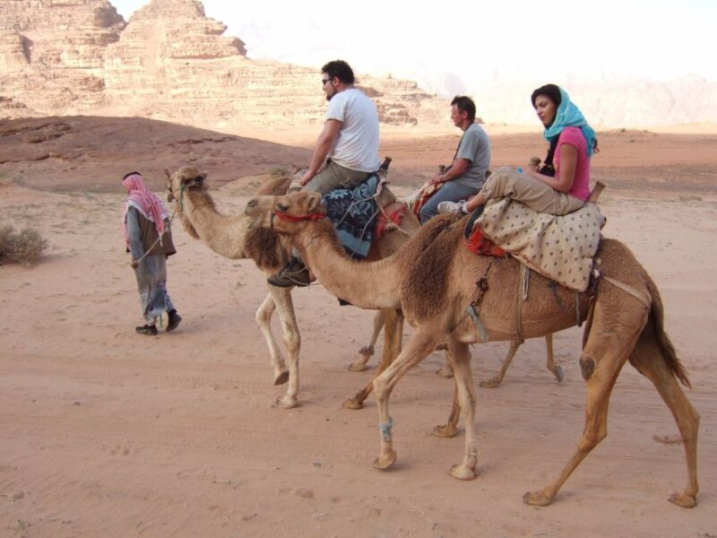 Taghazout Sunset Camel Ride - Camel Ride Experience