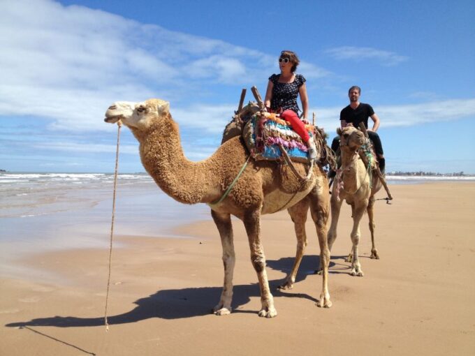 Taghazout Sunset Camel Ride - Frequently Asked Questions