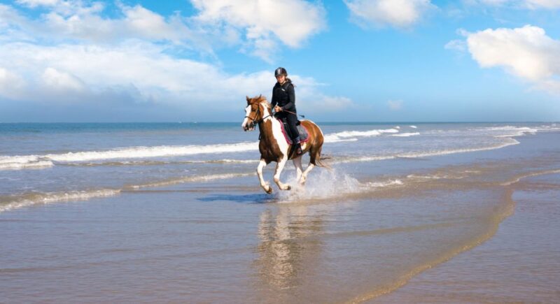 Taghazout: Sunset Horse Riding Experience on the Beach - Good To Know