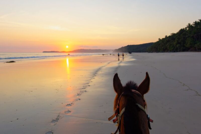 Taghazout: Sunset Horse Riding Experience on the Beach - Highlights of the Beach Ride
