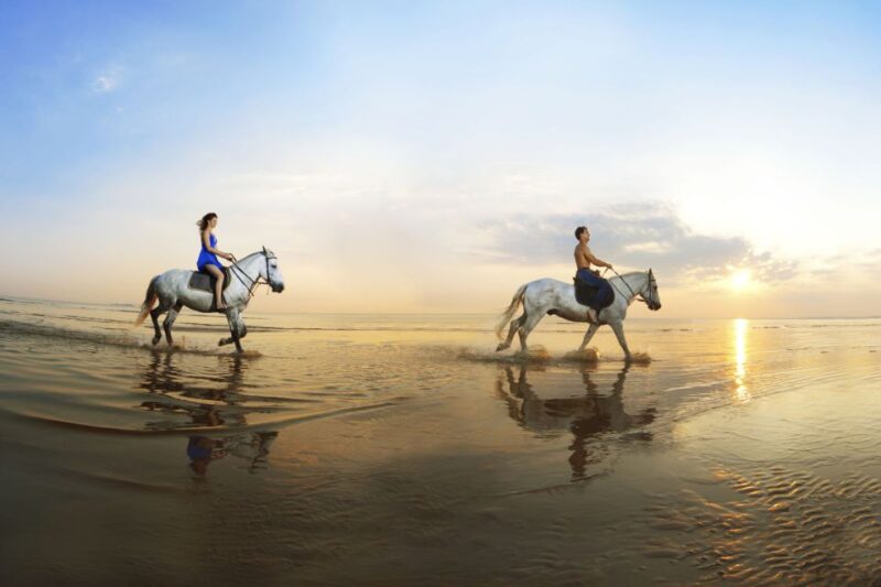 Taghazout: Sunset Horse Riding Experience on the Beach - Booking Details and Availability