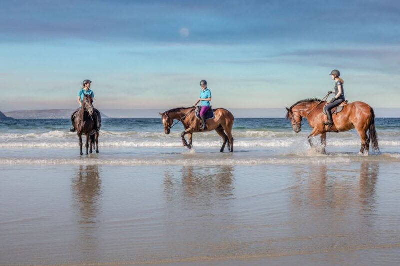 Taghazout: Sunset Horse Riding Experience on the Beach - Meeting Point and Transportation