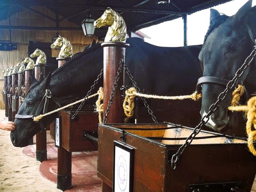 Tagus River & Ancient Production: Olive Oil, Wine and Horses - Key Points