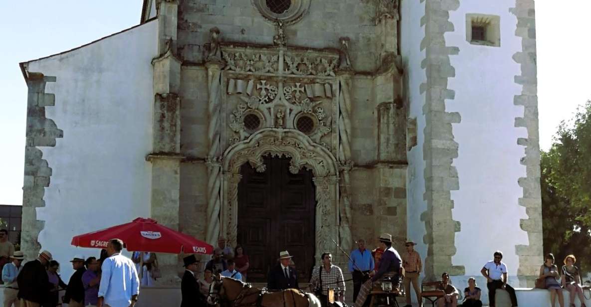 Tagus River & Ancient Production: Olive Oil, Wine and Horses - Culinary Experiences