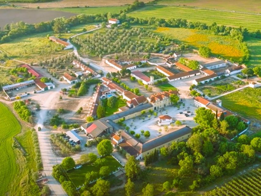 Tagus River & Ancient Production: Olive Oil, Wine and Horses - Exclusive Inclusions