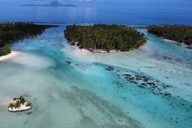 Tahaa Excursion in Electric Paddle Snorkeling Coral Garden - An In-Depth Look at the Tahaa Electric Paddle Snorkeling Tour