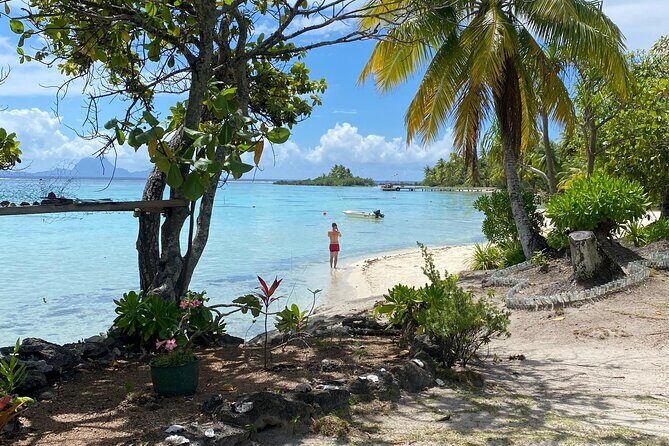 Taha'a Island or Raiatea Boat Tour - The Experience: What Makes It Stand Out