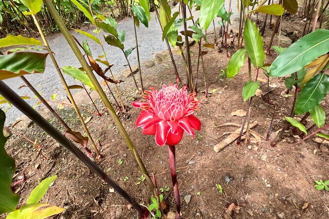 Taha'a Island or Raiatea Boat Tour - The Value and Practicalities