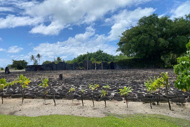 Taha'a Island or Raiatea Boat Tour - Who Will Love This Tour?