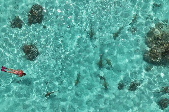 Taha'a Island or Raiatea Boat Tour - FAQ