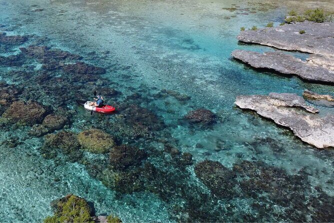 Tahaa: Kayaking Rental - Coral Garden - Snorkeling - Practical Details: Cost, Booking, and What’s Included