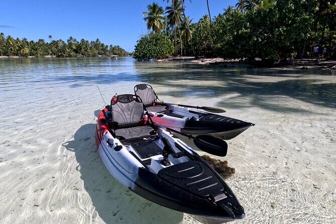 Tahaa: Kayaking Rental - Coral Garden - Snorkeling - What the Reviews Say