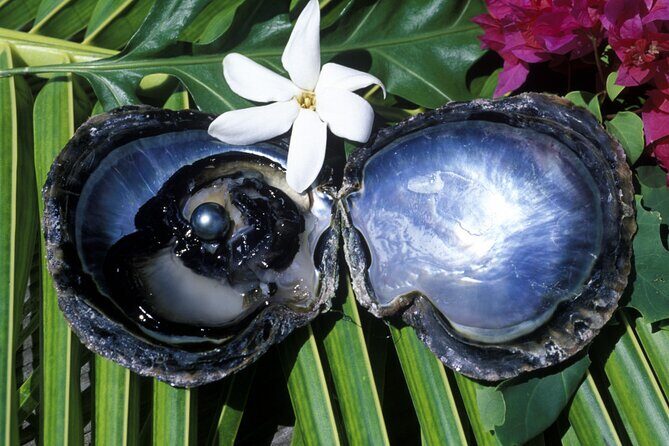 Tahaa Lagoon Tour -Departure Raiatea-Small groups (max 12 p) - An In-Depth Look at the Tahaa Lagoon Tour