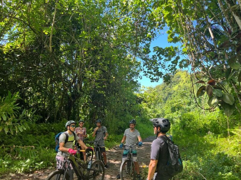 Tahiti E-bike, mtb, vtt Tour with Swimming and Lunch - What the Reviews Say