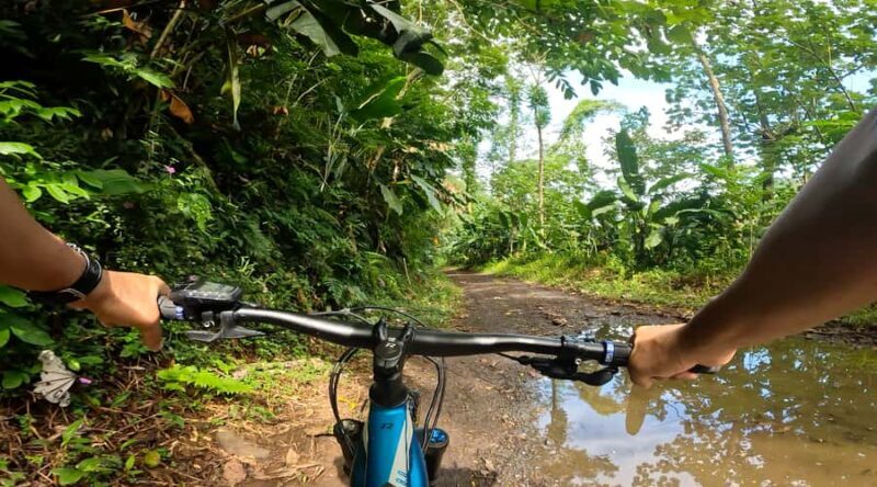 Tahiti E-bike, mtb, vtt Tour with Swimming and Lunch - FAQs