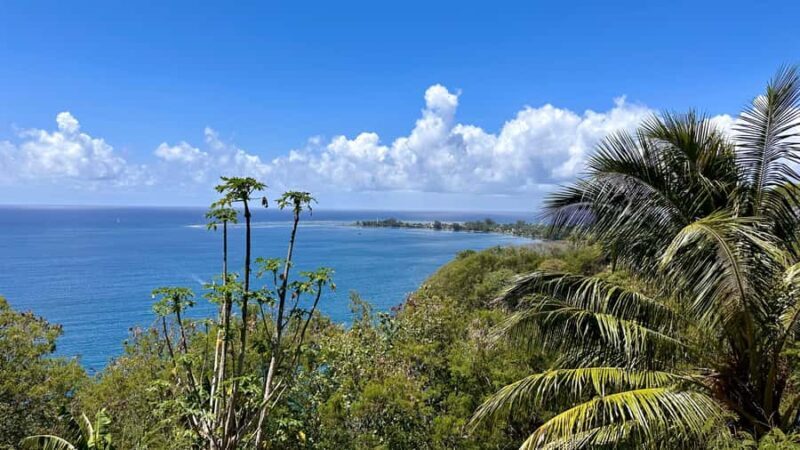 Tahiti: East or West coast tour (Half Day) - Exploring the West Coast: Beaches, Lagoons, and Surf Spots