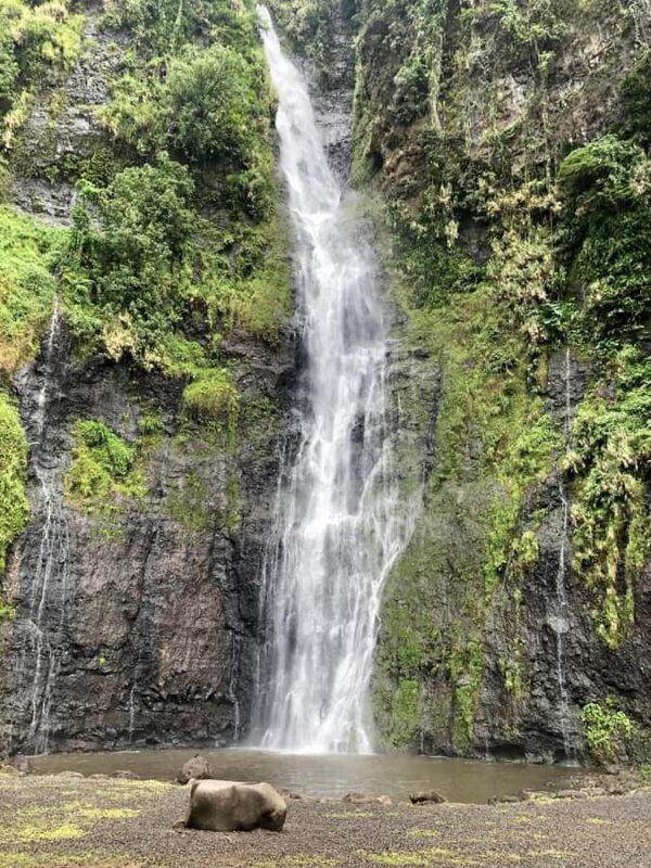 Tahiti: East or West coast tour (Half Day) - Final Thoughts: Who Should Consider This Tour?