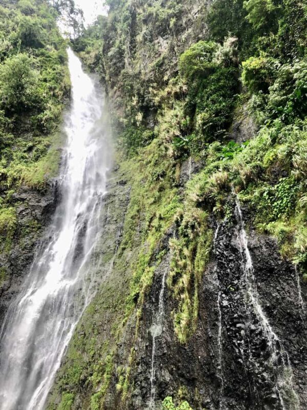 Tahiti: East or West coast tour (Half Day) - FAQs About the Tahiti Coast Tour