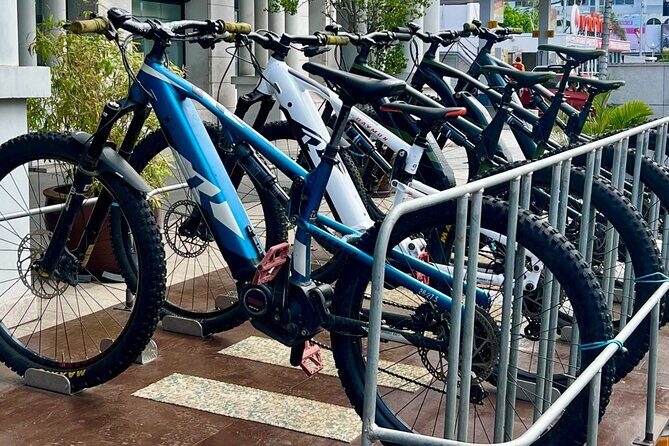 Tahiti excursion adventure circuit MTB MTB E-Bike private valley - An Honest Look at the Itinerary and Experience