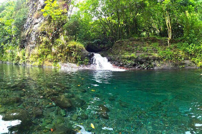 Tahiti excursion adventure circuit MTB MTB E-Bike private valley - The Sum Up: Who Should Consider This Tour?