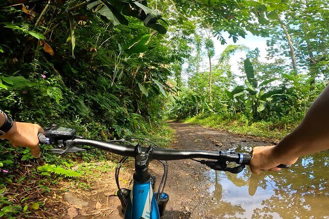 Tahiti excursion adventure circuit MTB MTB E-Bike private valley - FAQs
