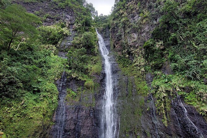 Tahiti Fautaua Valley and Big Waterfall Private Hiking Tour - The Itinerary in Detail: What to Expect