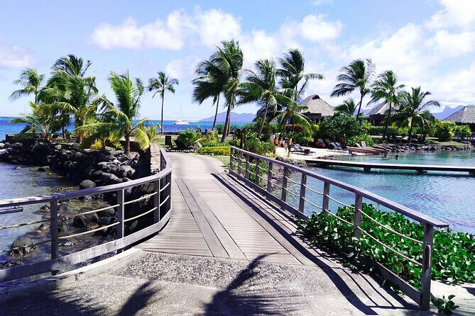 Tahiti Fautaua Valley and Big Waterfall Private Hiking Tour - The Experience and Why It’s Worth It