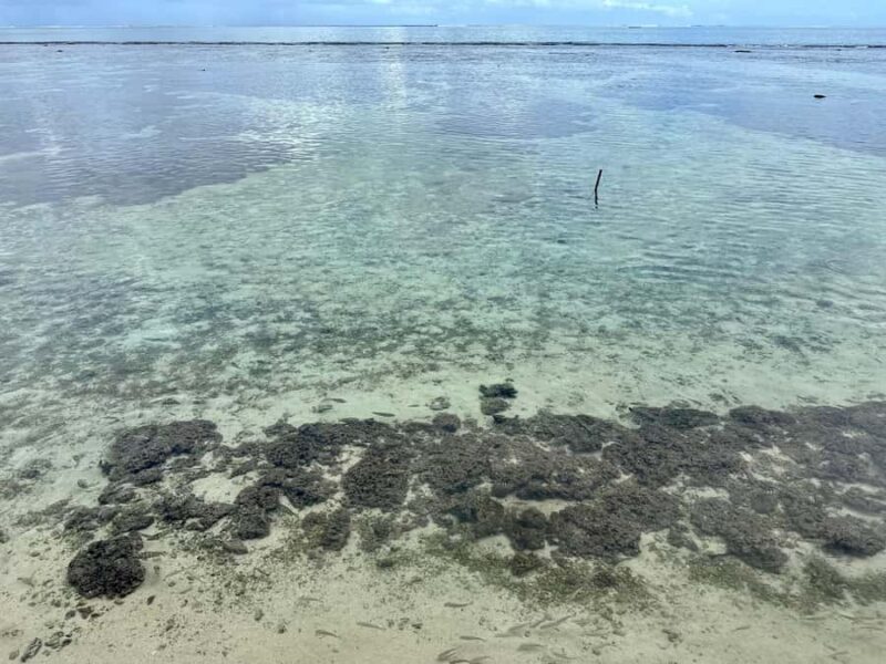 Tahiti: Full Day island tour with private jet flight (Cessna, Piper) - FAQ