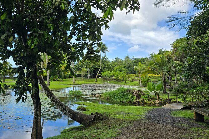 Tahiti Full Day Private Coastal Tour - The Experience and Value