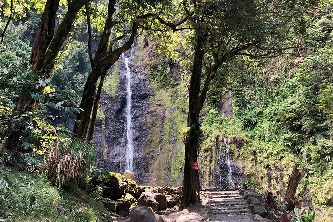 Tahiti: Full Day Tour of the Island - FAQ