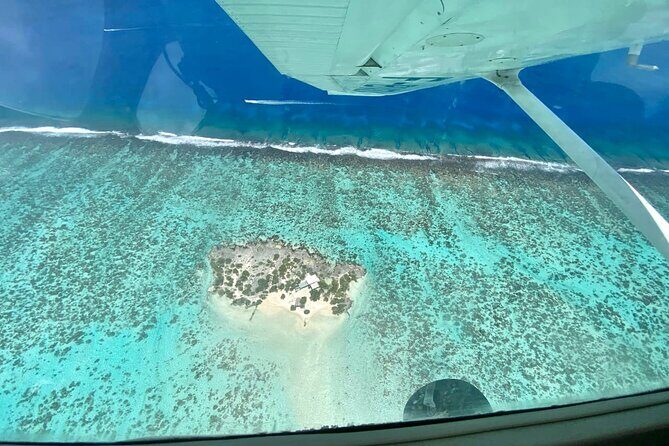 Tahiti: Full Day Tour with Private Flight EN Cessna (Moorea & Tahiti) - Insights from Other Travelers