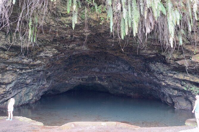 Tahiti Half Day Coastal Private Tour - The Itinerary Breakdown — What You’ll See and Do