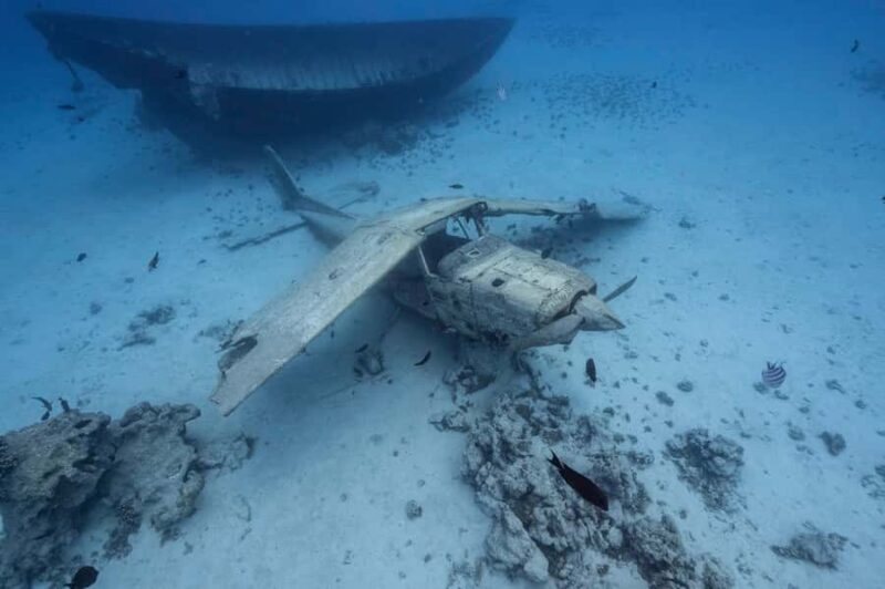 Tahiti island: 4 hours Snorkeling Tour - Authentic Insights from Travelers