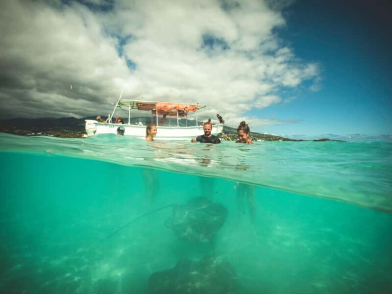 Tahiti island: 4 hours Snorkeling Tour - The Sum Up