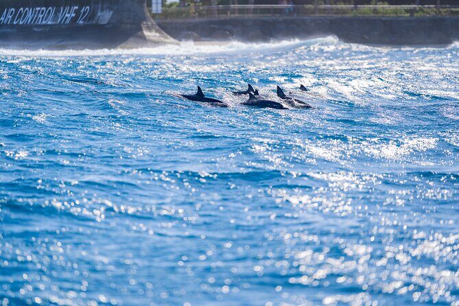 Tahiti Lagoon Snorkeling and Lunch Boat Tour (6 pax max) - FAQ