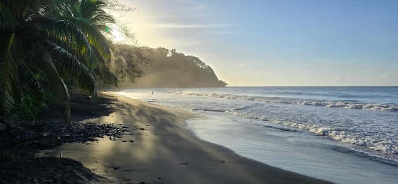 Tahiti: Northeast Coast Waterfalls&Viewpoints Half Day Tour - Why This Tour Stands Out