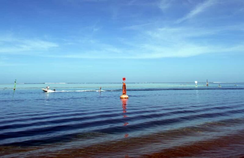 Tahiti: Private Half Day Culture and Nature Highlights Tour - An Overview of Tahiti’s Natural and Cultural Treasures