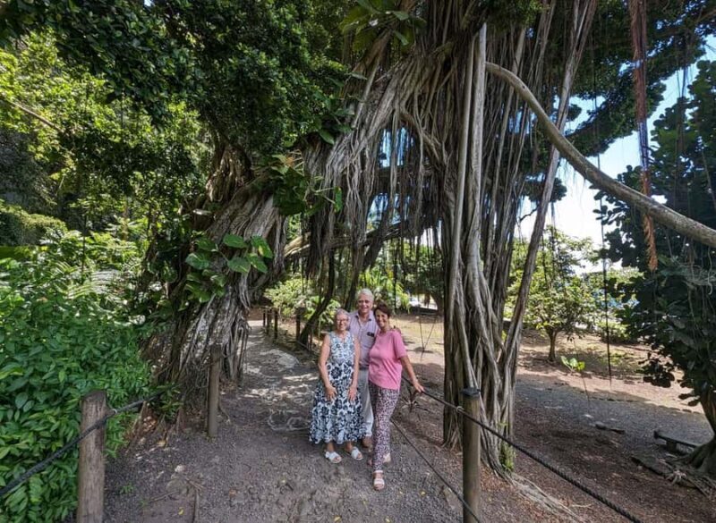 Tahiti Private Half Day Tour. Nature, history and culture - Price and Value: Is It Worth It?