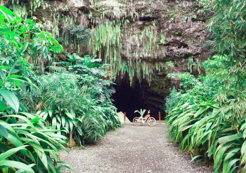 Tahiti Private Half Day Tour. Nature, history and culture - Who Should Consider This Tour?