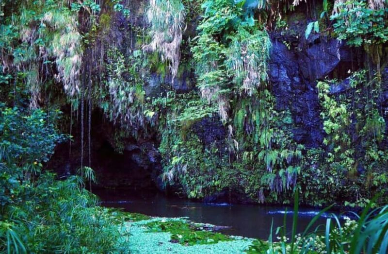 Tahiti : Tour de l'ile complet (Full Day) avec Presqu'île - The Sum Up: Who Should Take This Tour?