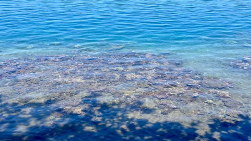 Tahiti : Tour de lîle Côte Est et Côte Ouest (Full Day) - An Overview of the Tahiti Full-Day Tour