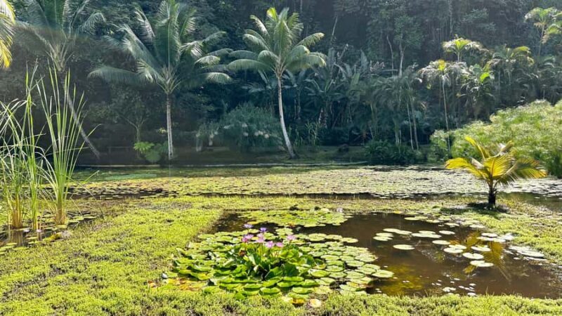 Tahiti : Tour de lîle Côte Est et Côte Ouest (Full Day) - Final Thoughts: Who Should Consider This Tour?