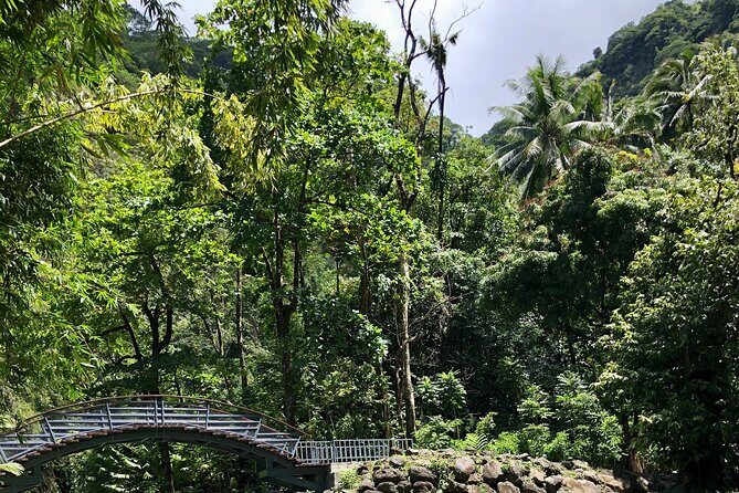 Tahiti: Tour of the East or West Coast (Half Day) - Final Thoughts