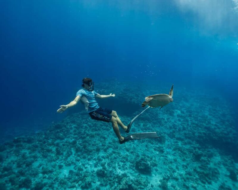 Tahiti underwater photo experience - An Honest Look at the Tahiti Underwater Photo Experience