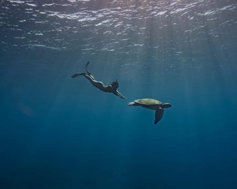 Tahiti underwater photo experience - FAQs